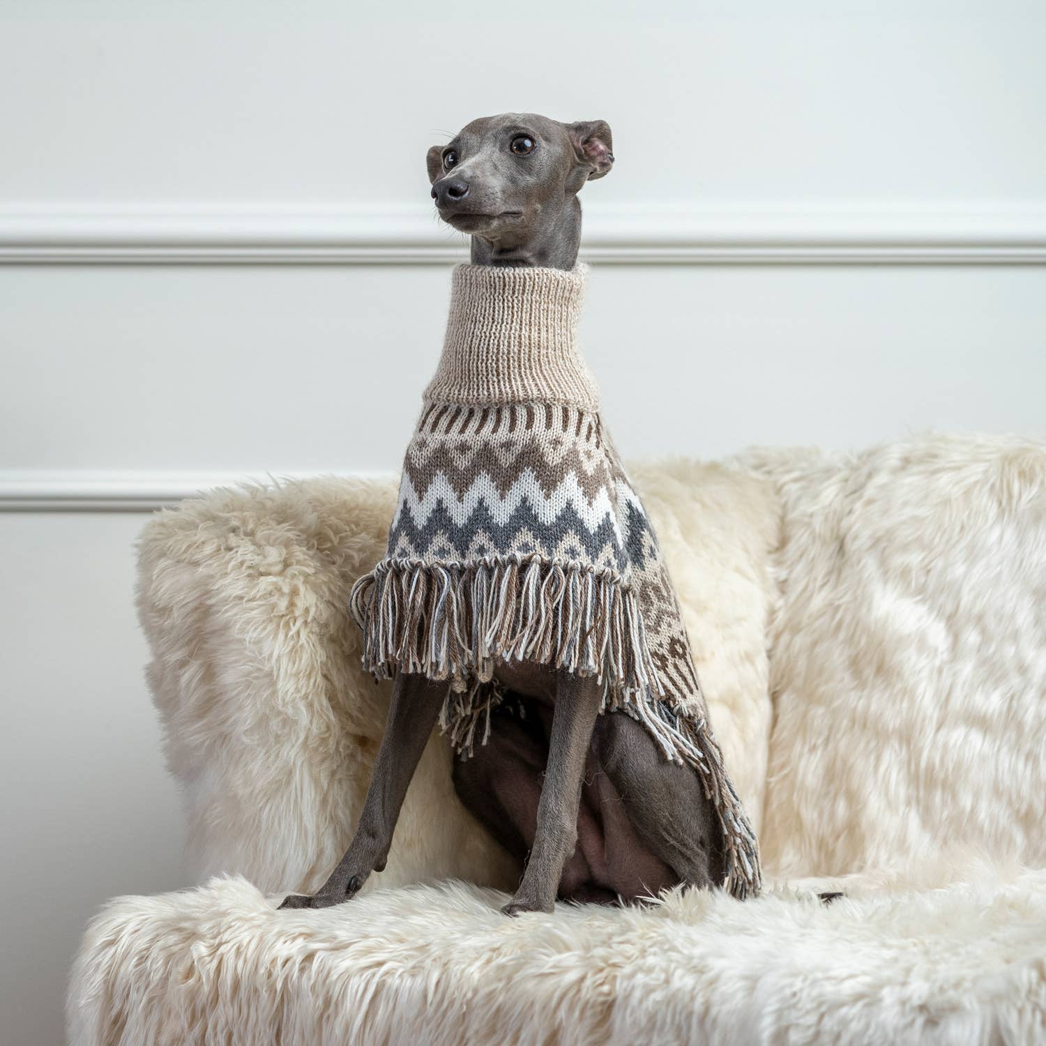 Alqo Wasi - Wholesale Pet Sweater - Dog - Woolly Winter Alpaca Dog Poncho4