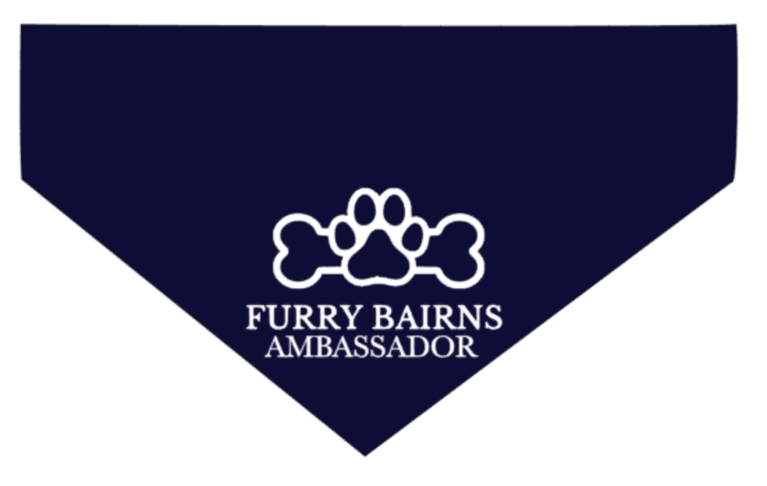 Storms Style - Wholesale Pet Bandana - Dog - Custom Logo Pet Bandanas - Dog Cat1