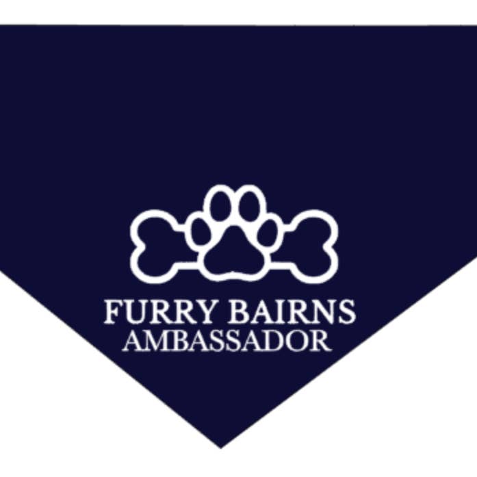 Storms Style - Wholesale Pet Bandana - Dog - Custom Logo Pet Bandanas - Dog Cat1