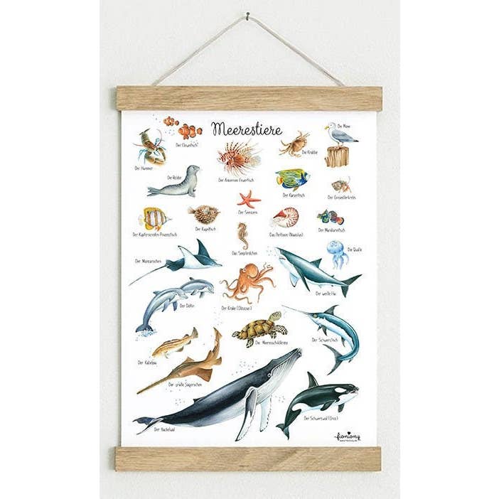 A3 art print, unframed, marine animals, watercolour, white, post for wholesale by fioniony®