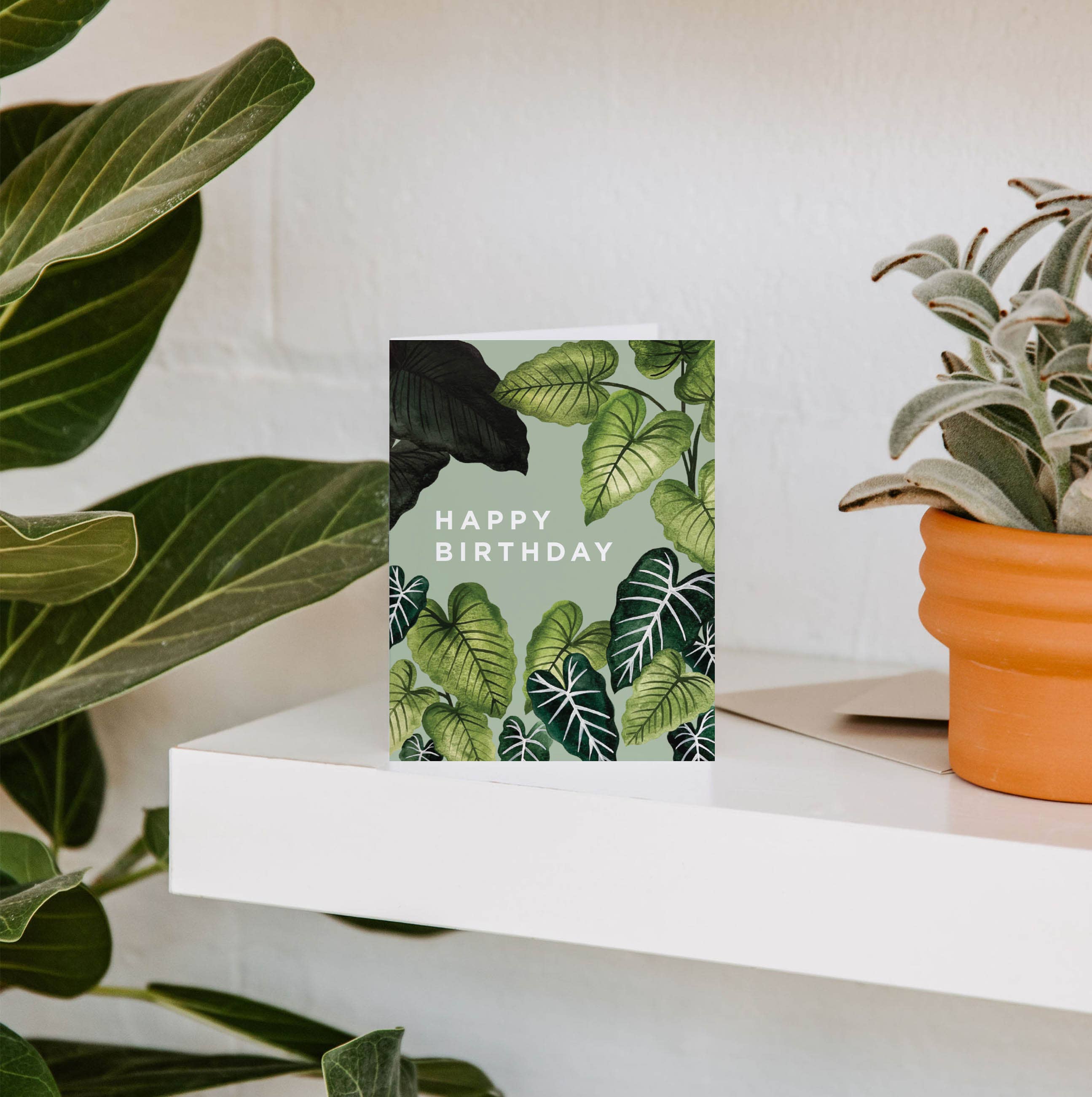 Paper Anchor Co. - Wholesale Birthday Card - Alocasia Happy Birthday Greeting Card1