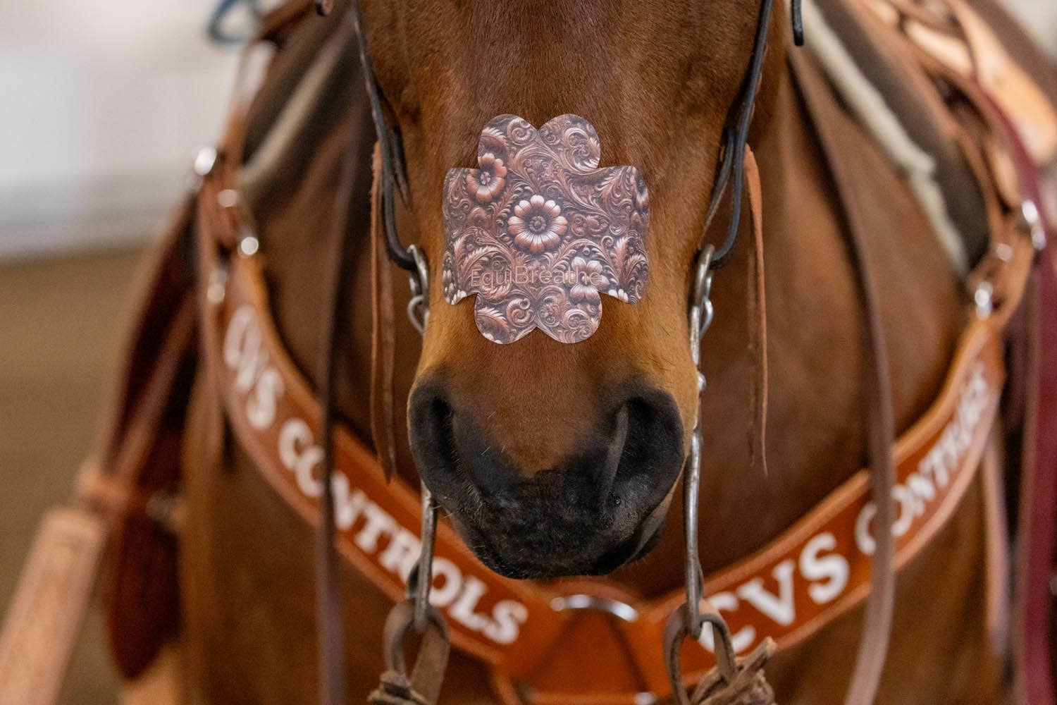 EquiBreathe™ - Vente Équipement d’équitation - EquiBreathe™ Patch Nasal Équin - Cuir Outilé3