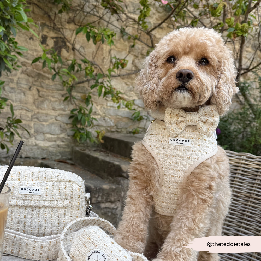 Cocopup London - Wholesale Tuig voor huisdieren - Hond - Vanillekleurig Getextureerd Tweed Verstelbaar NekHARNAS3