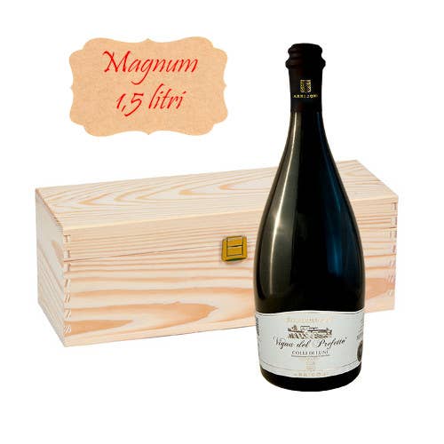 Metina SAS – Engroshandel Hvidvin – Vigna del Prefetto Vermentino DOC Colli di Luni Rosadimaggio0