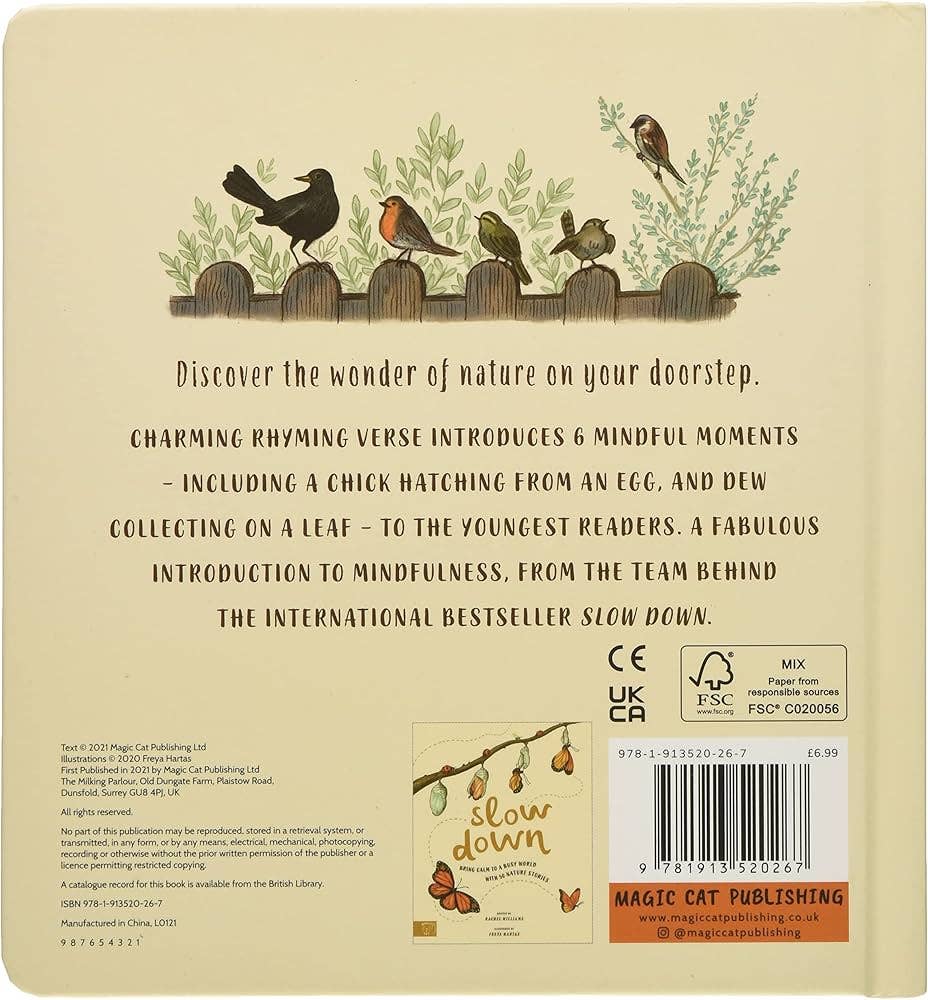 Texas Bookman - Wholesale Baby & Toddler Book (0-2) - Slow Down On Your Doorstep1