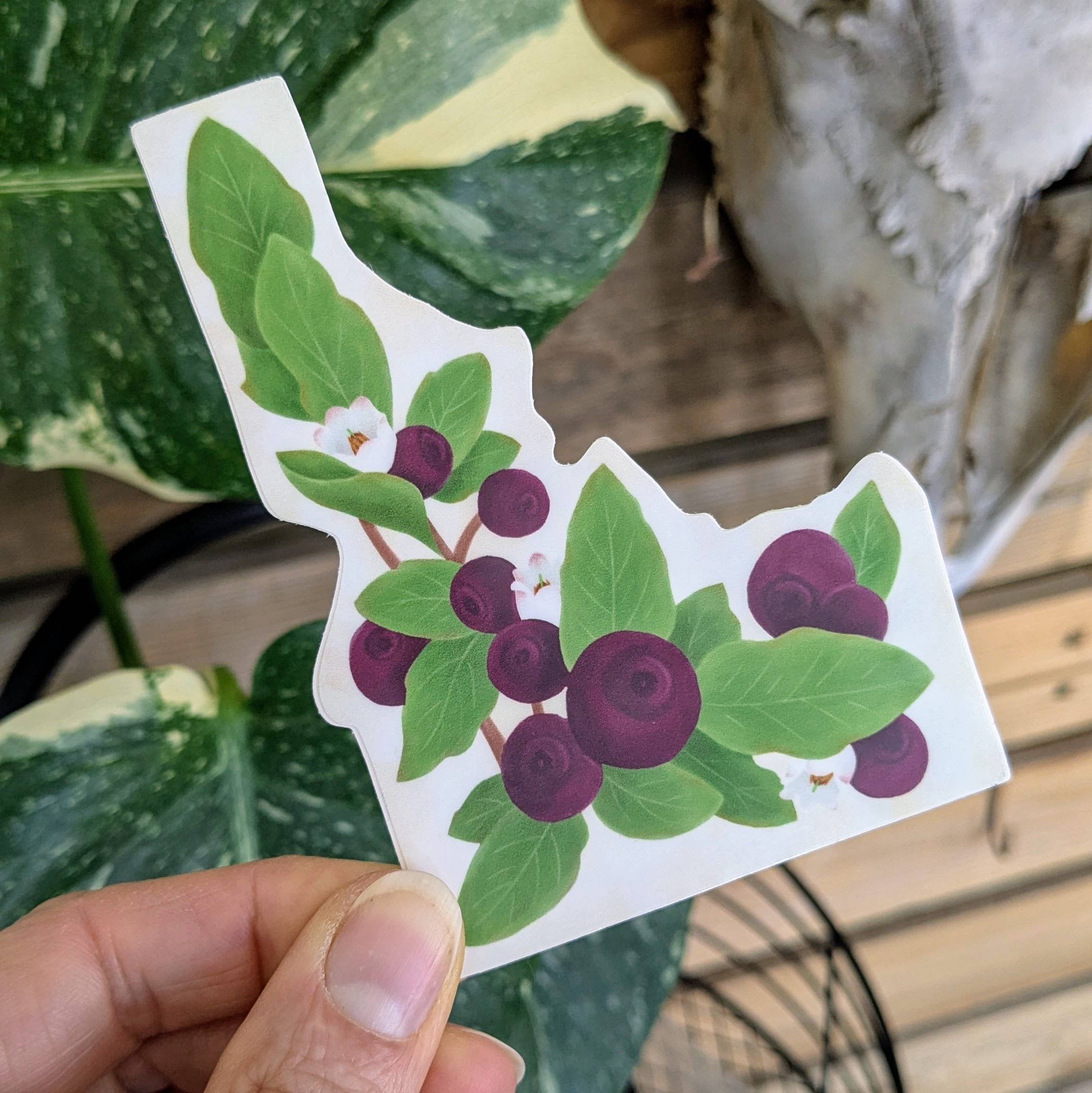 Little Studio Collective - Wholesale Sticker - Idaho Huckleberry Sticker 0