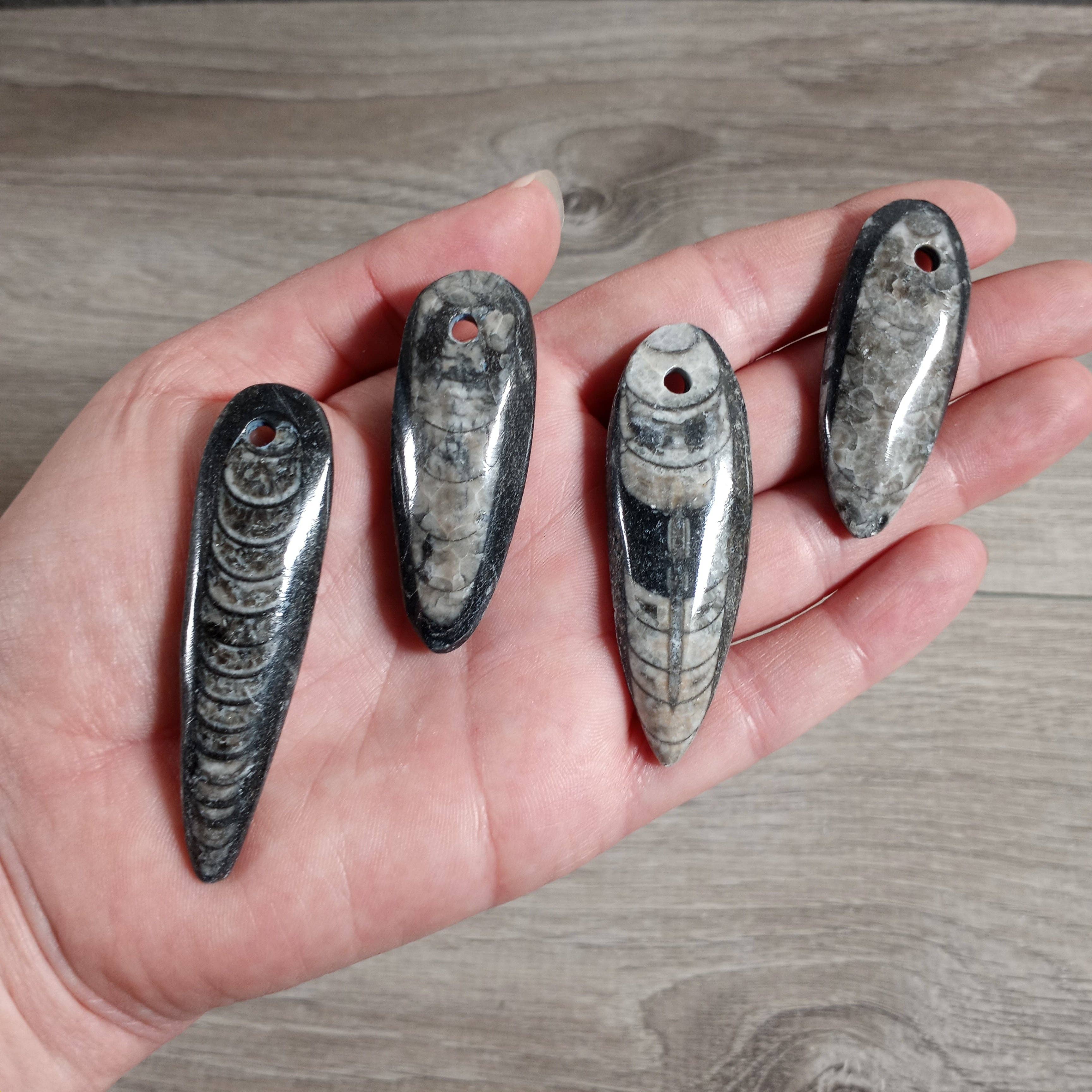 Keystone Crystals - Wholesale Individual Charm/Pendant - Orthoceras Fossil Focal Bead3