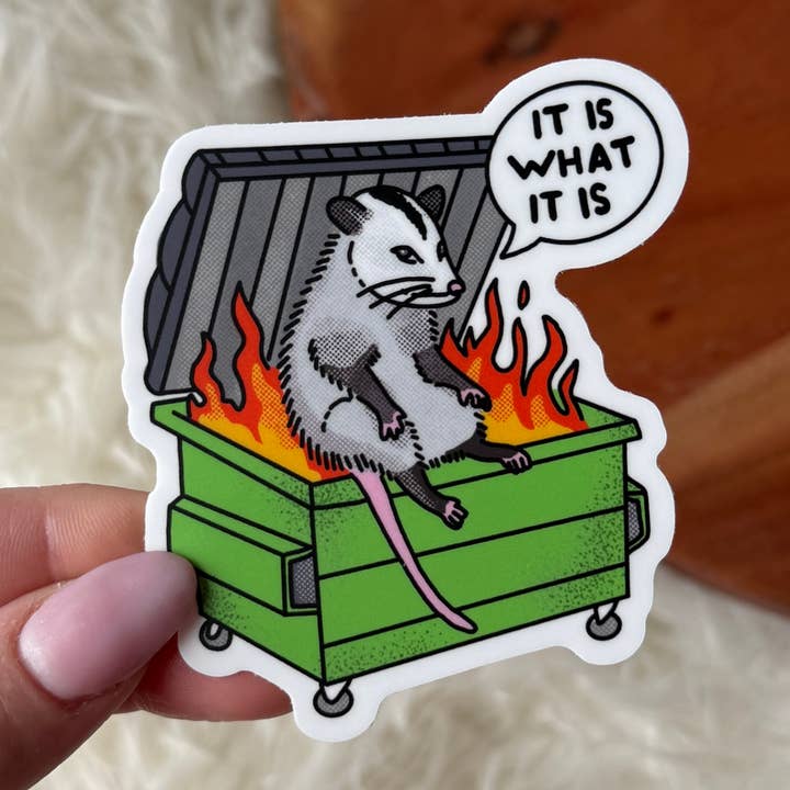 "It is what it is" Possum Dumpster Fire Sticker for wholesale by Big Moods