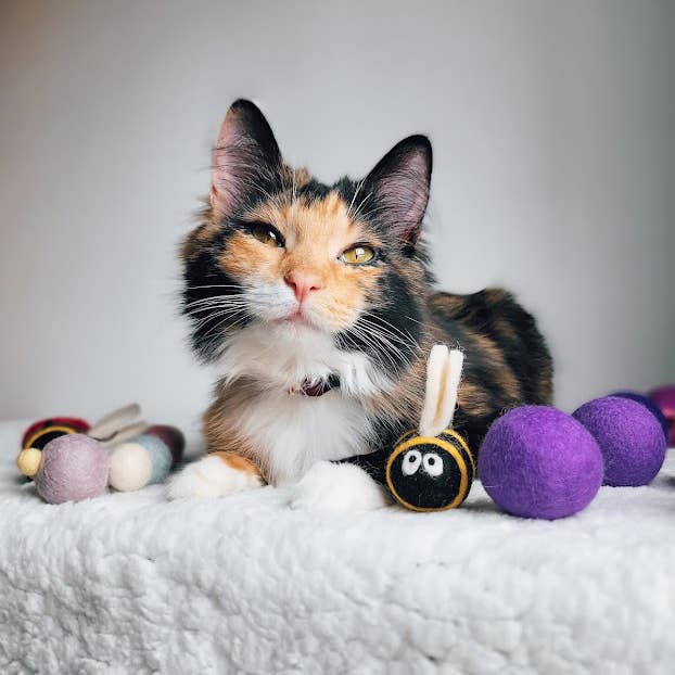 Friendsheep - Wholesale Pet Toy Set - Cat/Dog - Berta the Honey Bee and Sisters Eco Wool Pet Toys Fresheners1