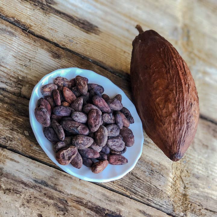 Chocolaterie Berton / Omegachoco - Wholesale Chocolate - Raw Organic Cacao Beans Criollo Bio Bulk per Kg