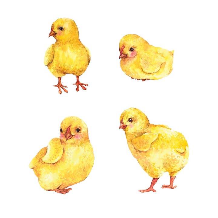 Baby Chick Dekaler för wholesale av Cover-Alls Decals