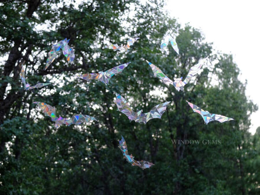 Window Gems - Wholesale Suncatcher - Bat Window Clings - Bird Strike Prevention Decals1