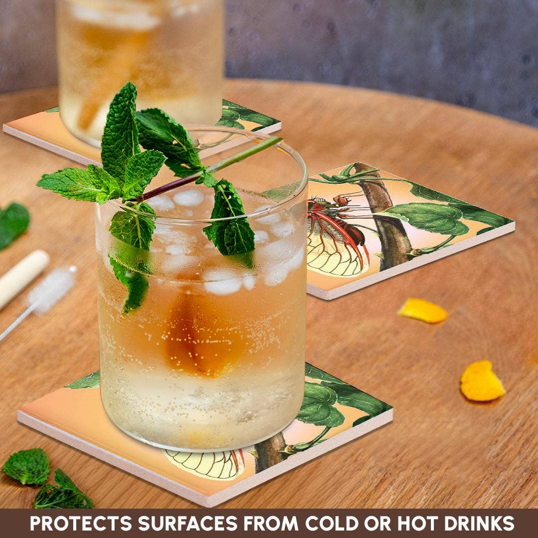 3dRose - Wholesale Coasters - 3dRose, Cicada - cicada, cicadas, magicicada septendecim, insect, insects, bugs, winged insects, Coaster2