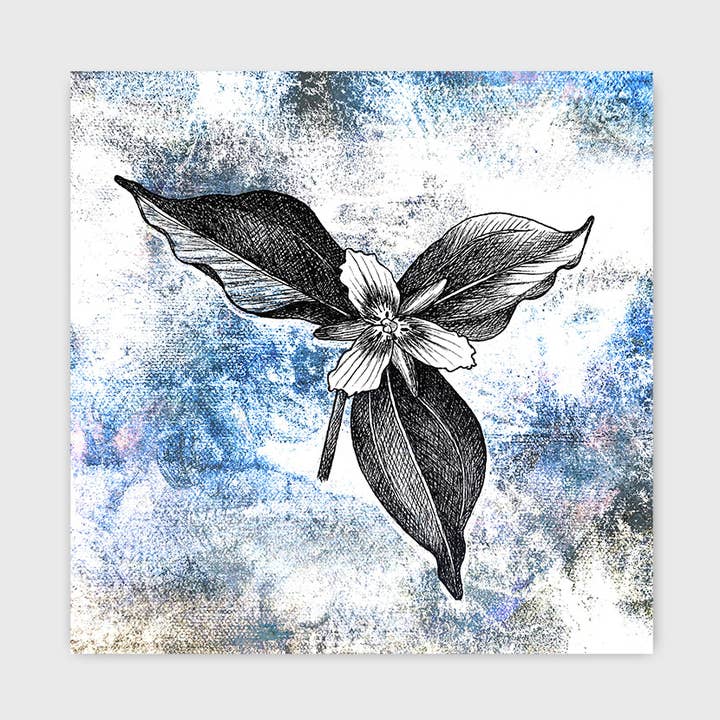 Malet Trillium Kunsttryk 8x8" for engroshandel hos Jeanelle Demers
