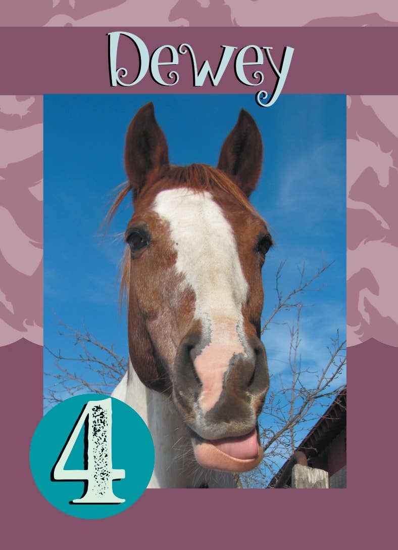 Horse Hollow Press | Pretty Snarky Equestrian Cards|Stickers - Wholesale Card Game - Fun Horse Go Graze Card Game for Kids & Families –Gift Ready10