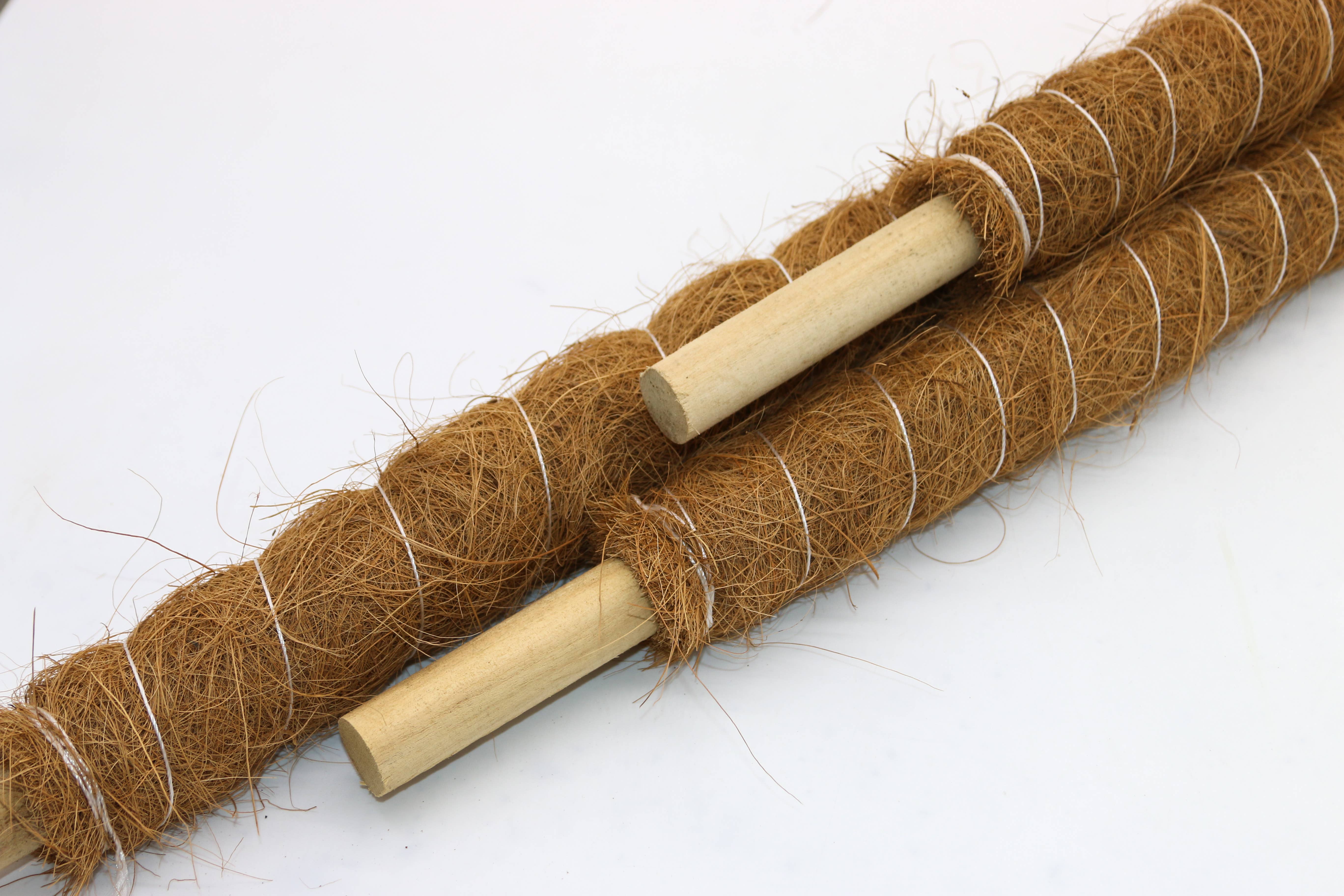 CoirProducts.co.uk of Salike Limited – ferramenta de jardinagem por atacado – Natural Coir MosSpole | Suporte de Plantas | Growpoles | Monstera1