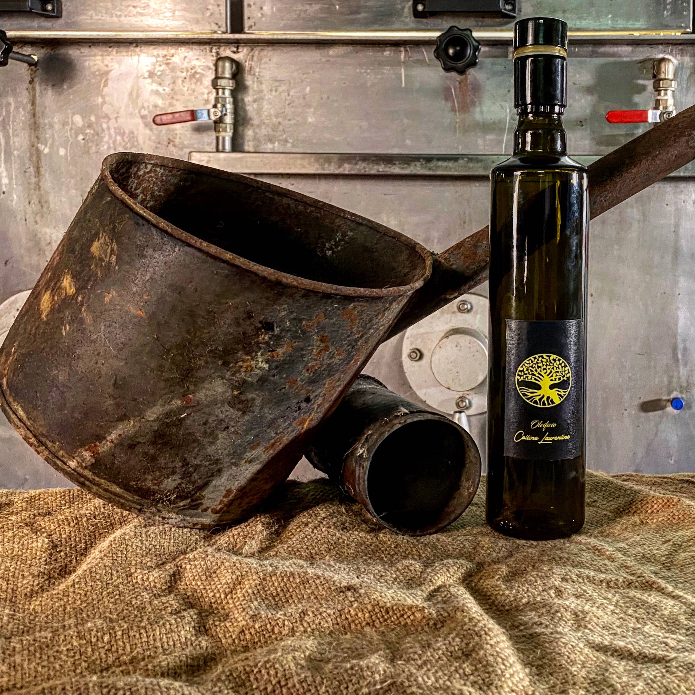 Colline Laurentine – Óleo essencial por atacado – Óleo EVO aromOil aromOil1