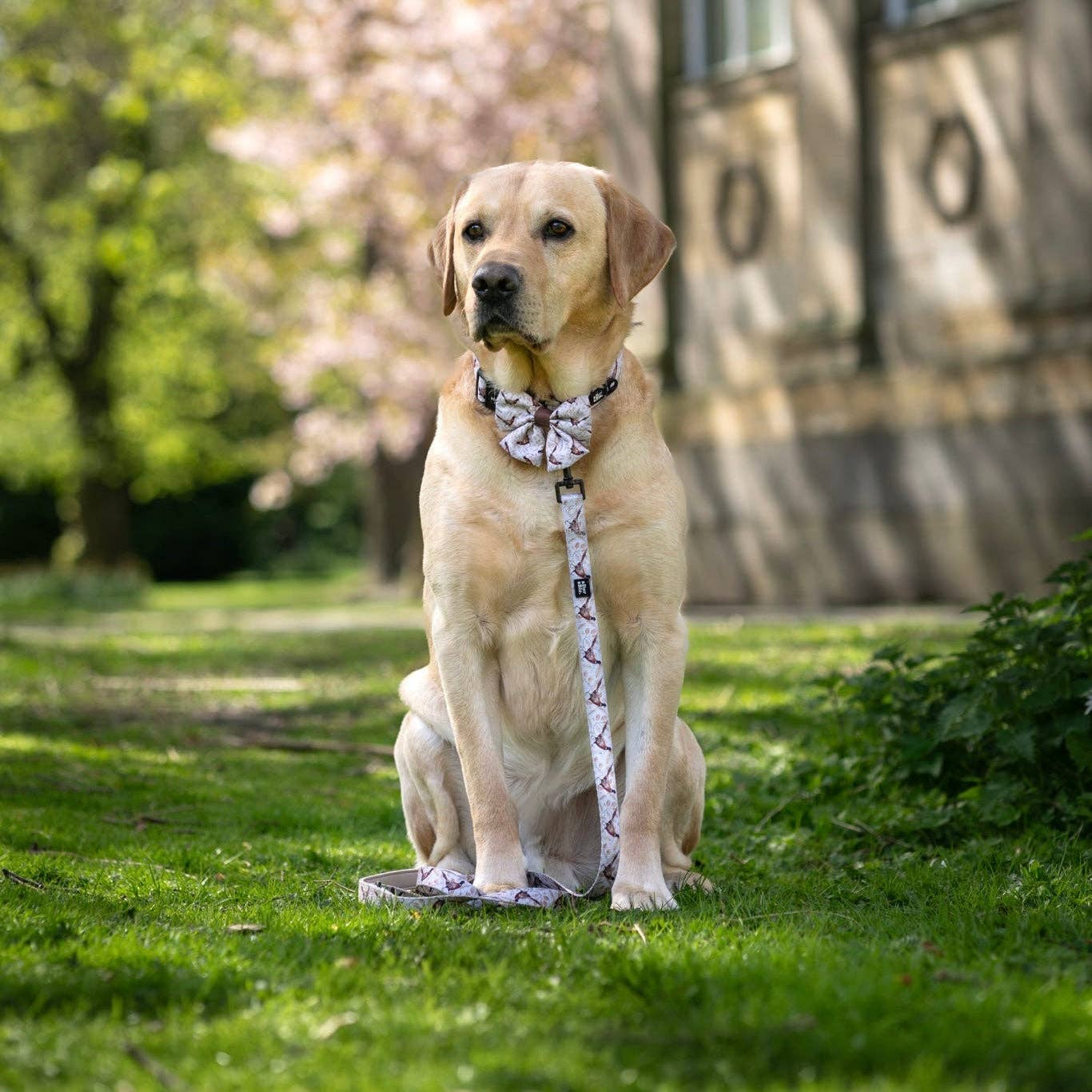 The aDoraBle Pooch Company – wholesale Pet bow tie – Dog – Dog Sailor Bow Tie - Farmland Pheasant5