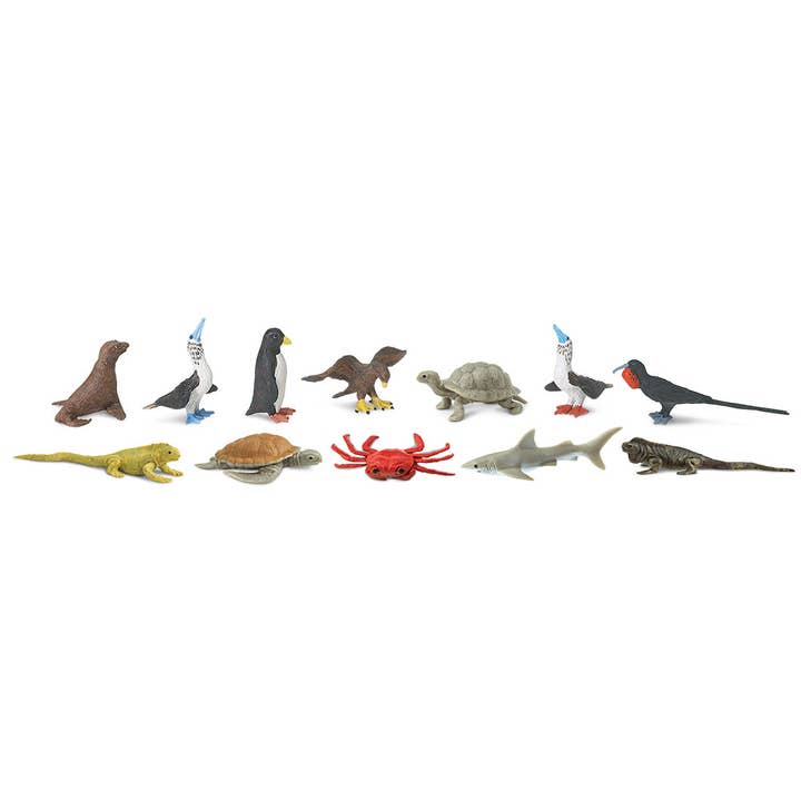 Safari Ltd. - Wholesale Figurine Toy - Kids - Galapagos TOOB® - 681704