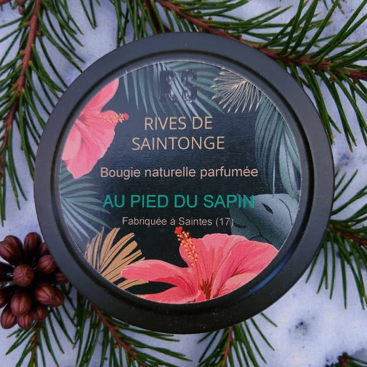 Candela naturale Pied du Sapir per la vendita all'ingrosso da parte di RIVES DE SAINTONGE