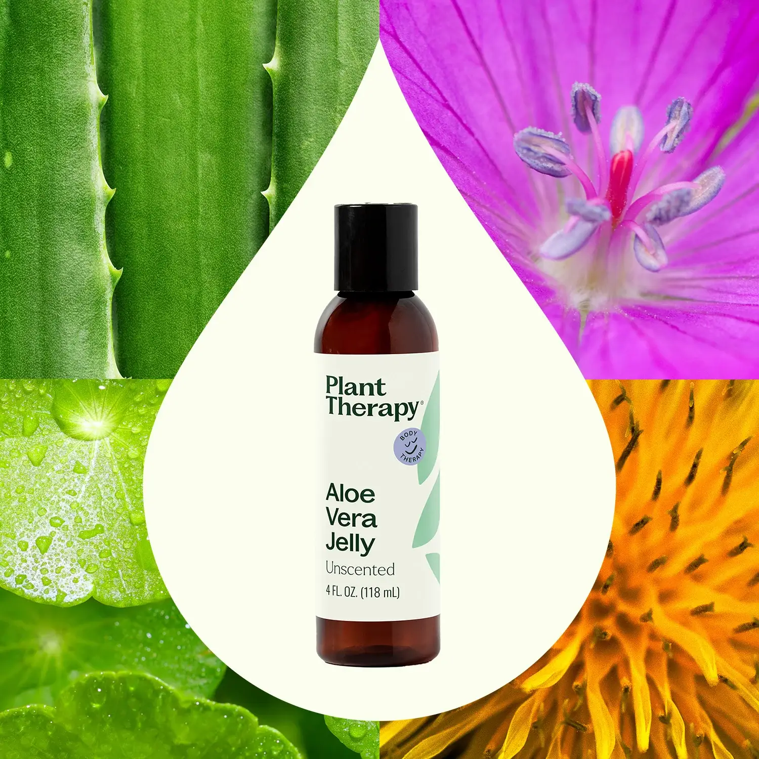 Plant Therapy - Wholesale Aloe Spray/Cream - Aloe Vera Jelly Unscented 4 oz2