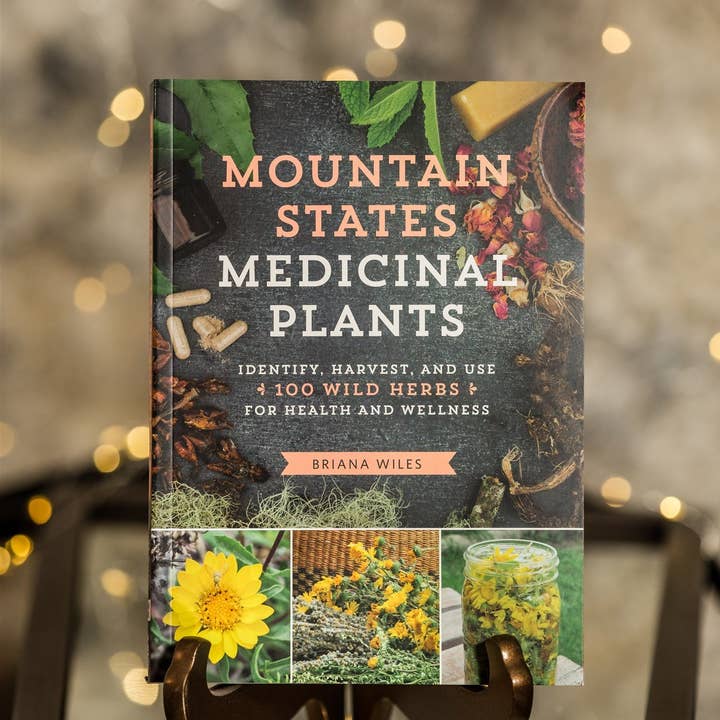 Rooted Apothecary - Wholesale Loose Tea - Mountain States Medicinal Plants0