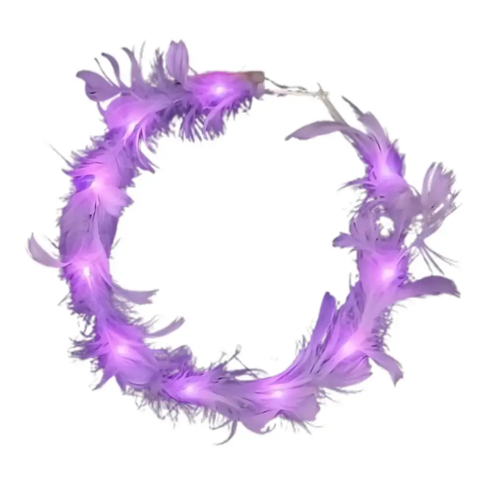 Blinkee.com, LLC - Wholesale Party Hat/Crown - Light Up Feather Crown Assortment Bundle of 2 Pink & Purple5