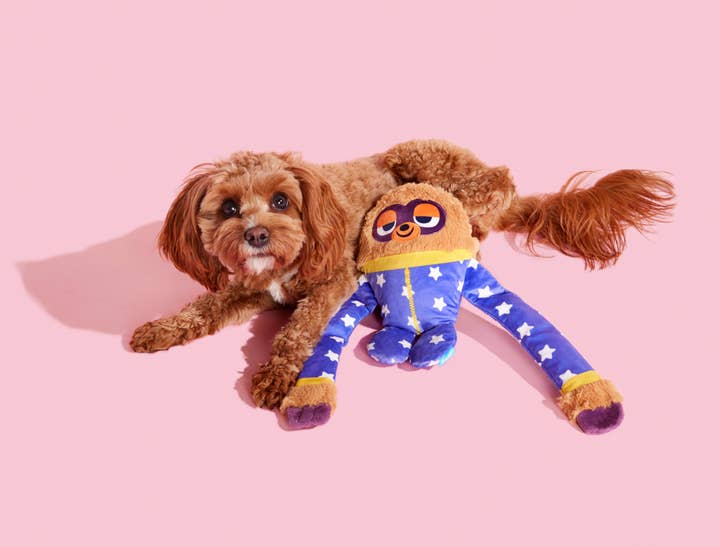 Pet Palette Distribution - Wholesale Pet Plush Toy - Dog - BARK Slow Jams Dan Plush Dog Toy