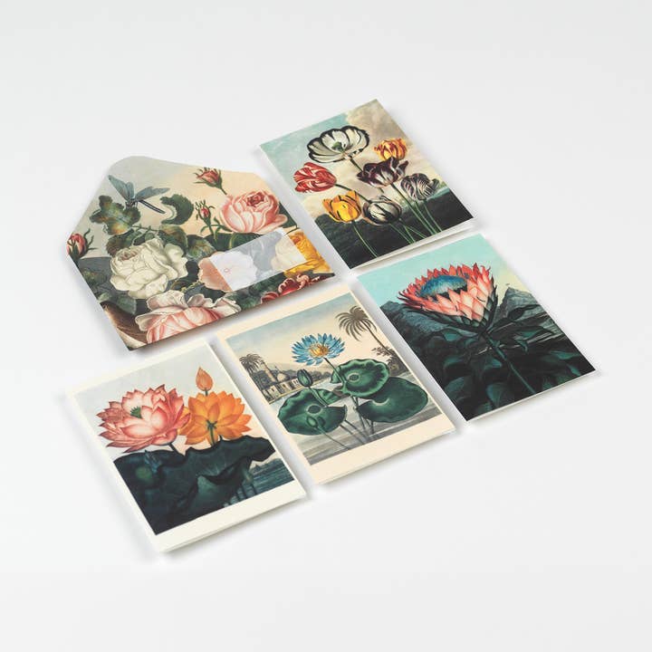 Blomster Kreativ Papirbog for engroshandel hos Pepin Press