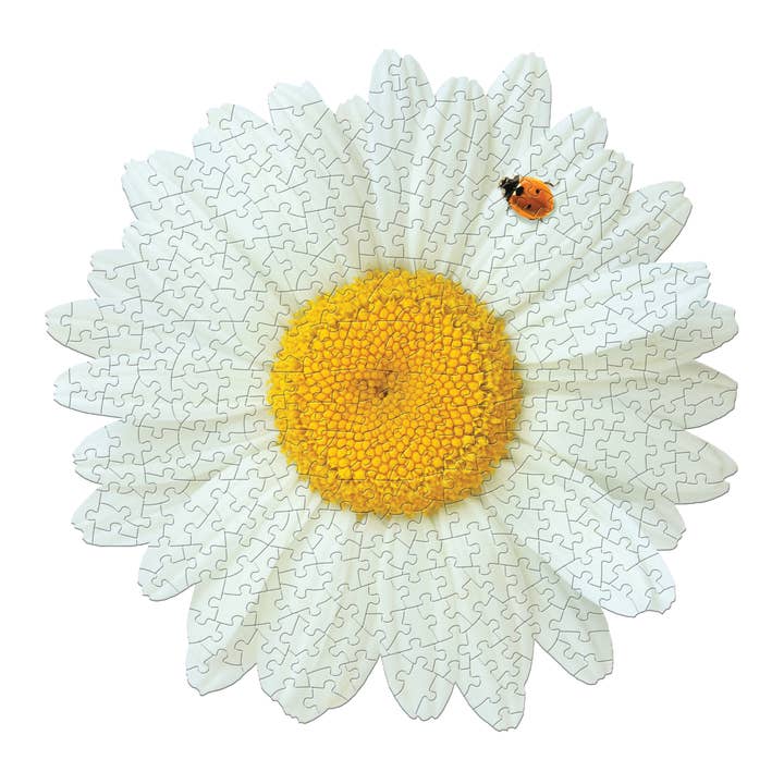 DISPLAY - DAISY 350pc for wholesale by Madd Capp Games & Puzzles