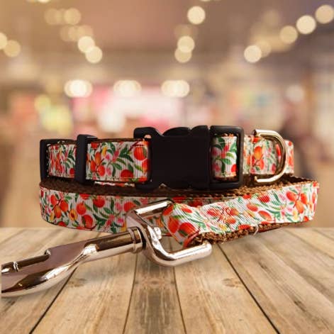 3/4" Perzikkleurige Hondenhalsband, -riem of Martingale voor wholesale door Rocky Mountain Hound