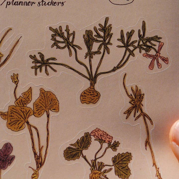 Tulips and Heather – wholesale Sticker – Sticker Sheet "Dried Flowers" for journals and planners7