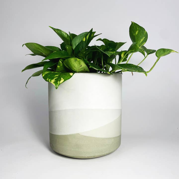 Settlewell - Wholesale Plant Pot - 9" Straight Sided Concrete Pot / 14 Colors10