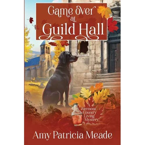 Books by splitShops - Wholesale Mystery - Game Over at Guild Hall - Paperback