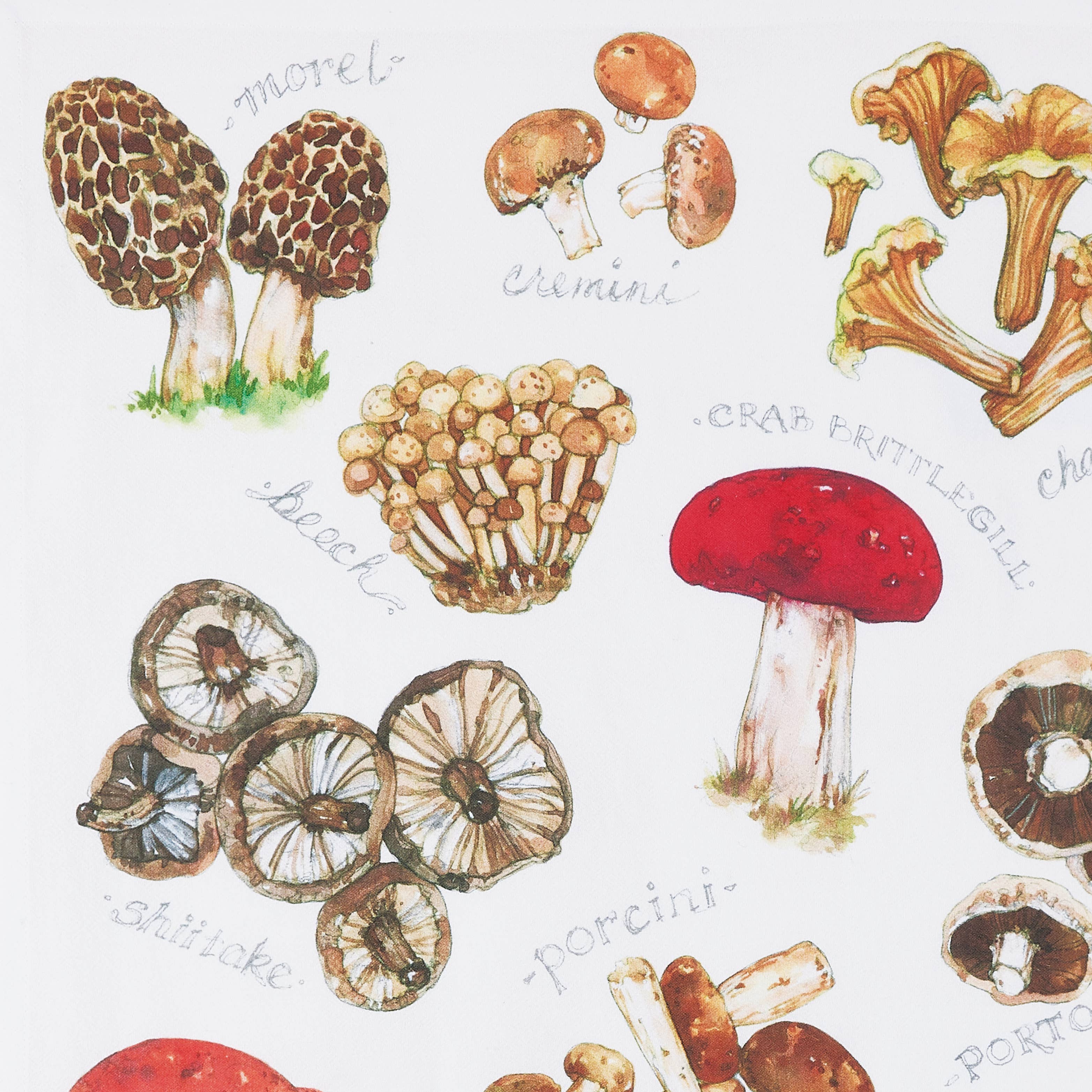 Peking Handicraft - Vente Torchons - Torchon de cuisine champignon Field Guide - Sally Eckman Roberts1