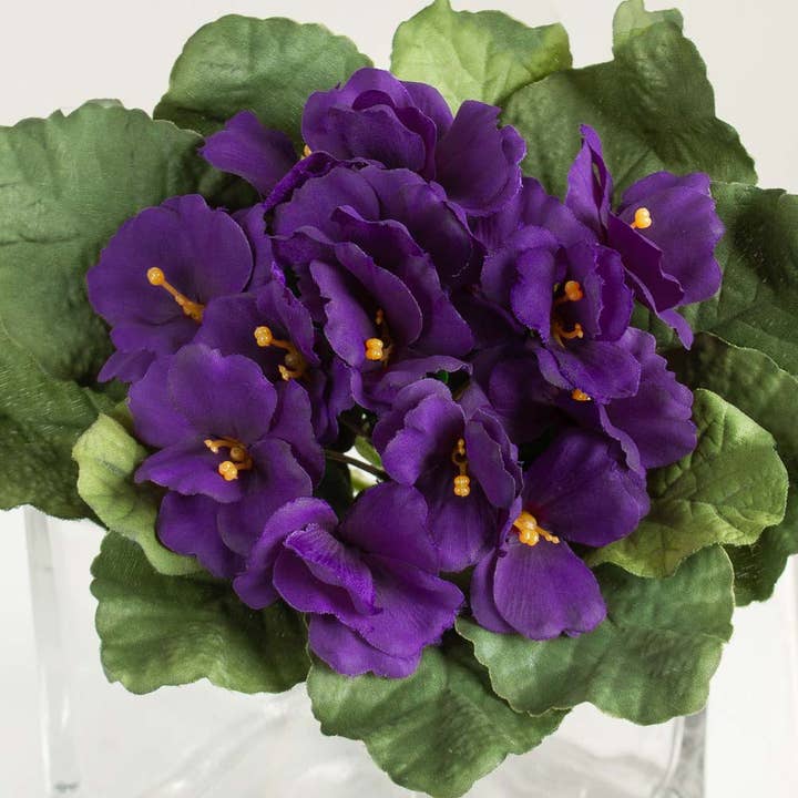 Factory Direct Craft - Wholesale Artificial Flowers - 6-1/2" Purple Artificial African Violet Bush