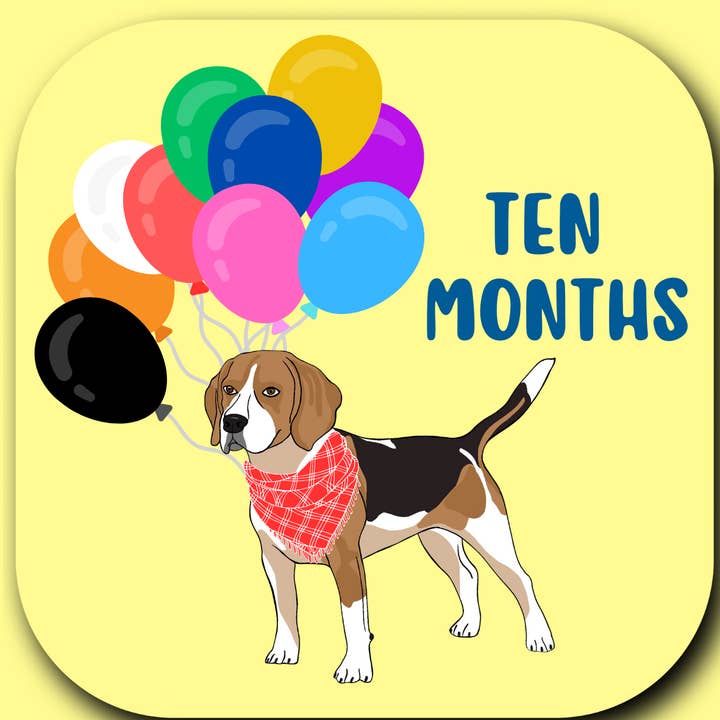 Wild & Wright - Wholesale Milestone Art/Keepsake - Kids & Baby - Welcome to the Pack Milestone Card Set5