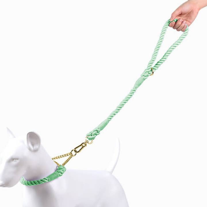 Loofie - Colorful Short Pet Leash for wholesale by Cheerhunting