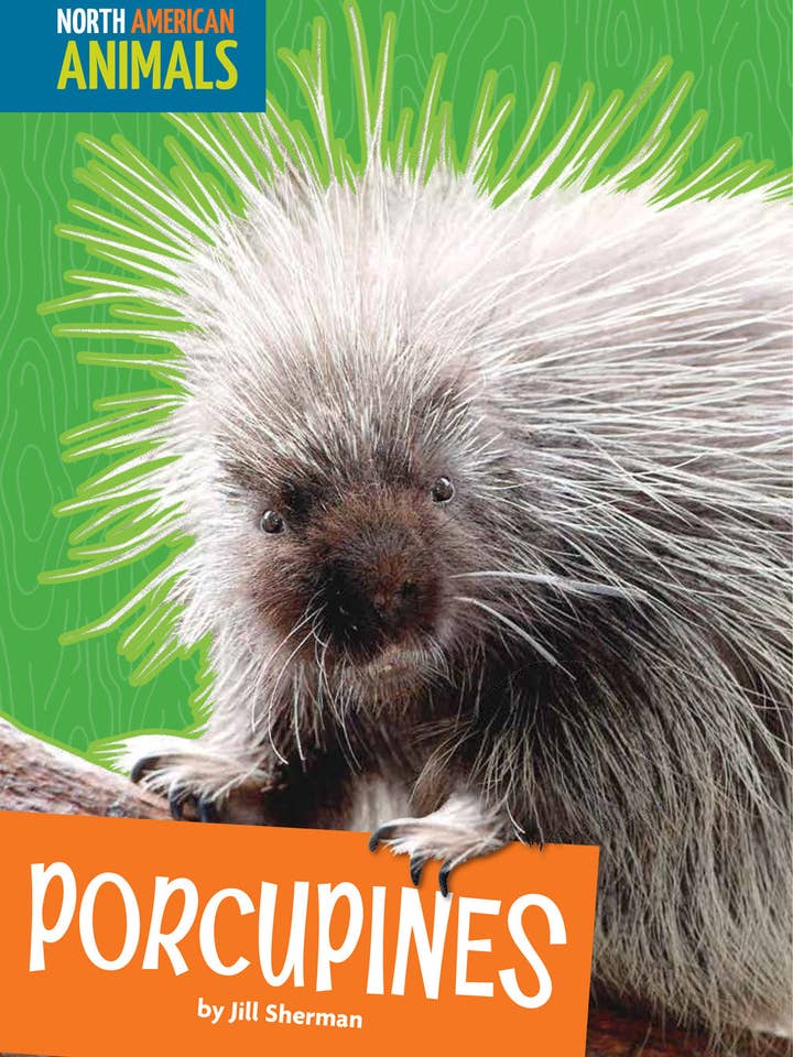 Porcupines for wholesale by Amicus Publishing