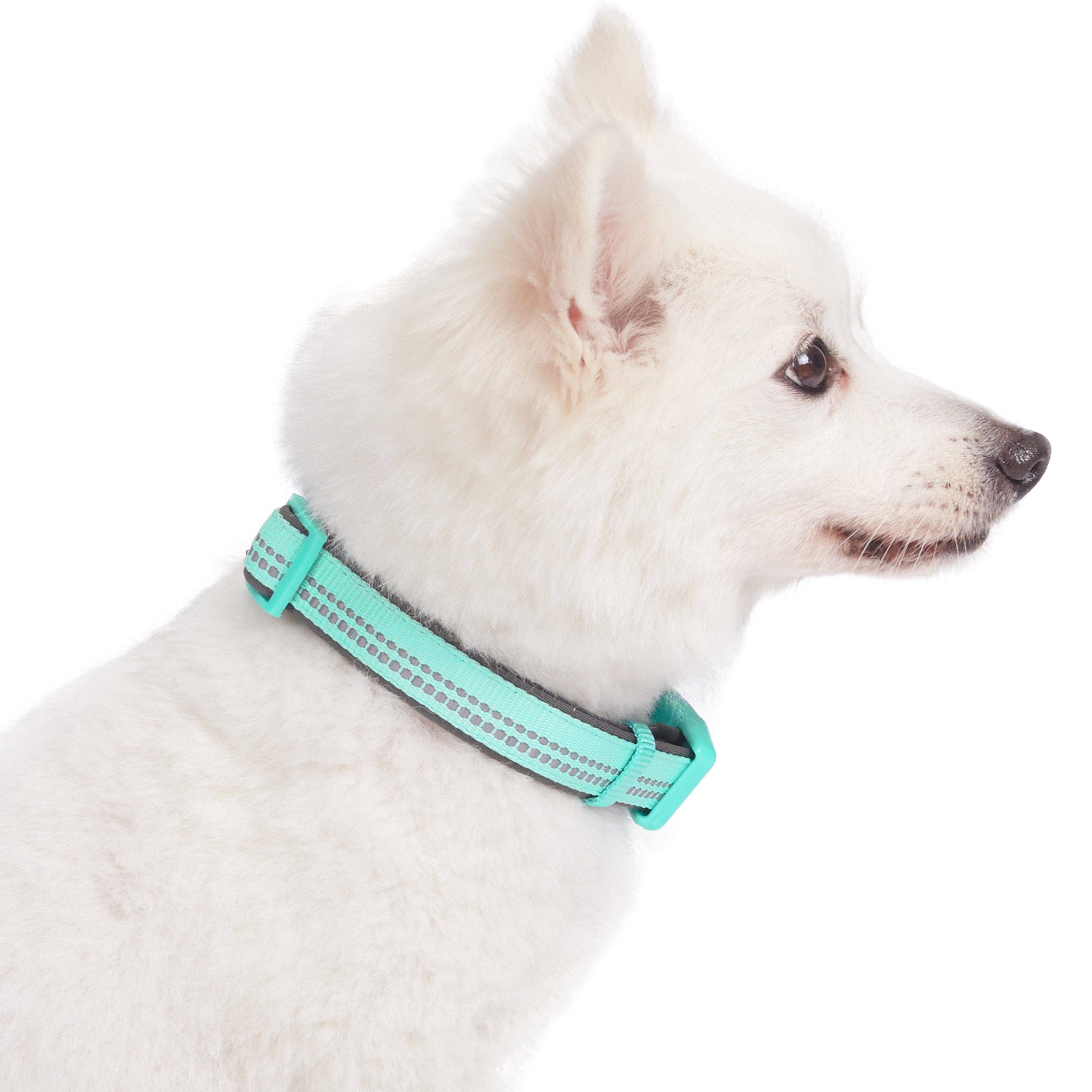 Blueberry Pet - Vente Collier – chien - Collier de sécurité rembourré en néoprène souple réfléchissant 3M8