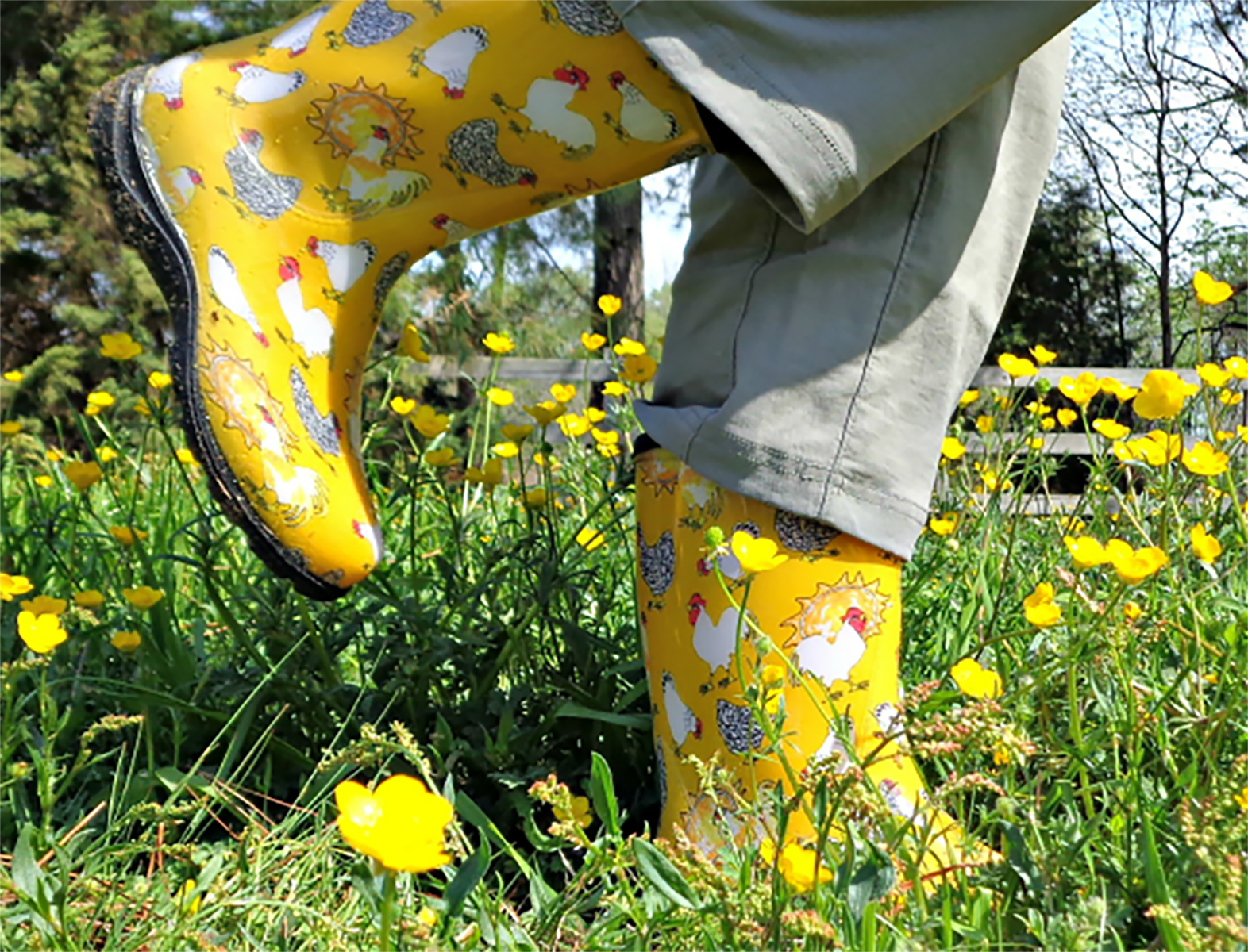Sloggers - Vente Bottes de pluie – femme - Botte de pluie et de jardin pour femmes, jaune à imprimé poulet2