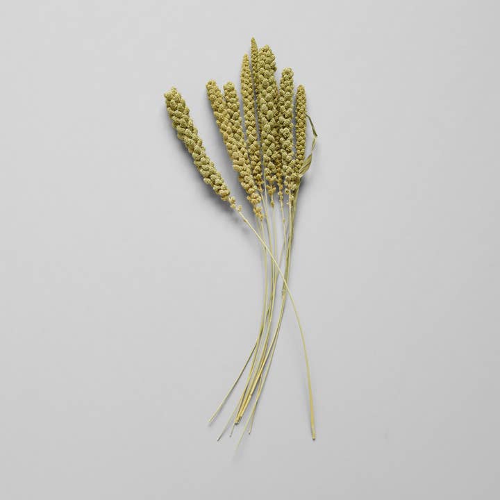 Dried Spray Millet and other Purchase Wholesale millet for birds. Free Returns & Net 60 Terms on Faire trending on Faire.