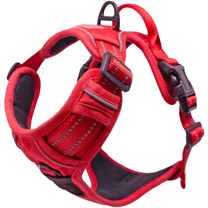 Venture Paw Dog Harness - Crimson for wholesale by Doggie Design
