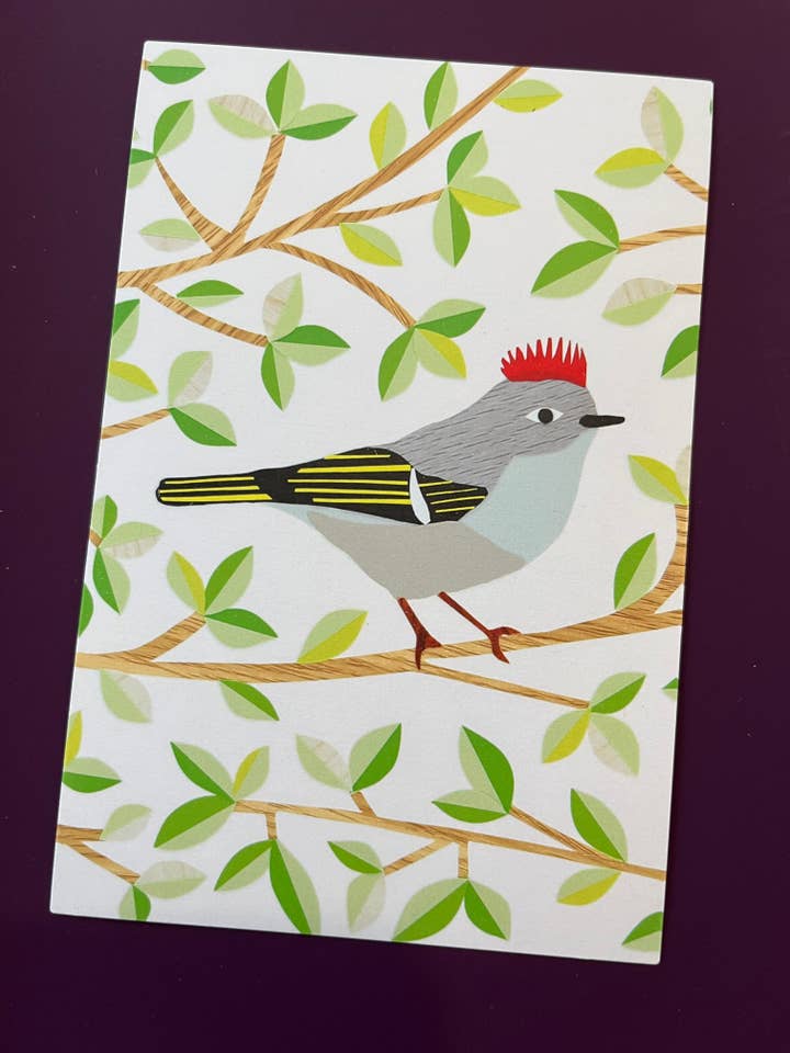 Ruby Crowned Kinglet - Postcard for wholesale by Bunny with a Toolbelt