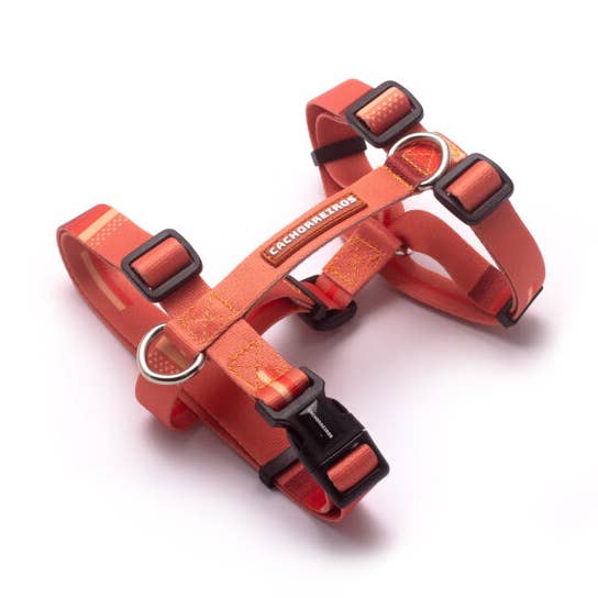 Hharnais pour chien Coral pour la vente par Pet company