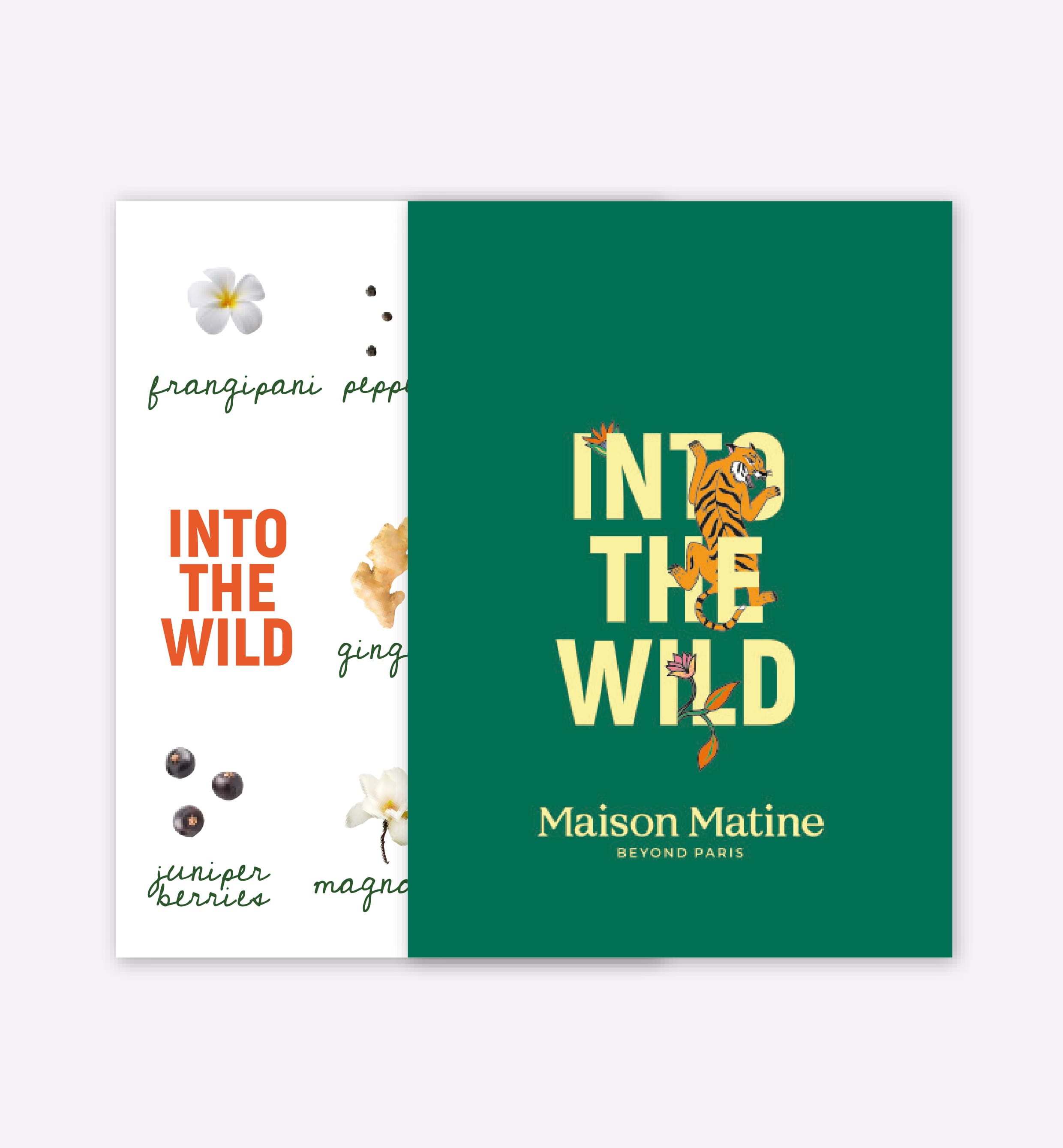 Maison Matine - Wholesale Perfume/Eau de Toilette - Eau de Parfum, Into the Wild 50ml3
