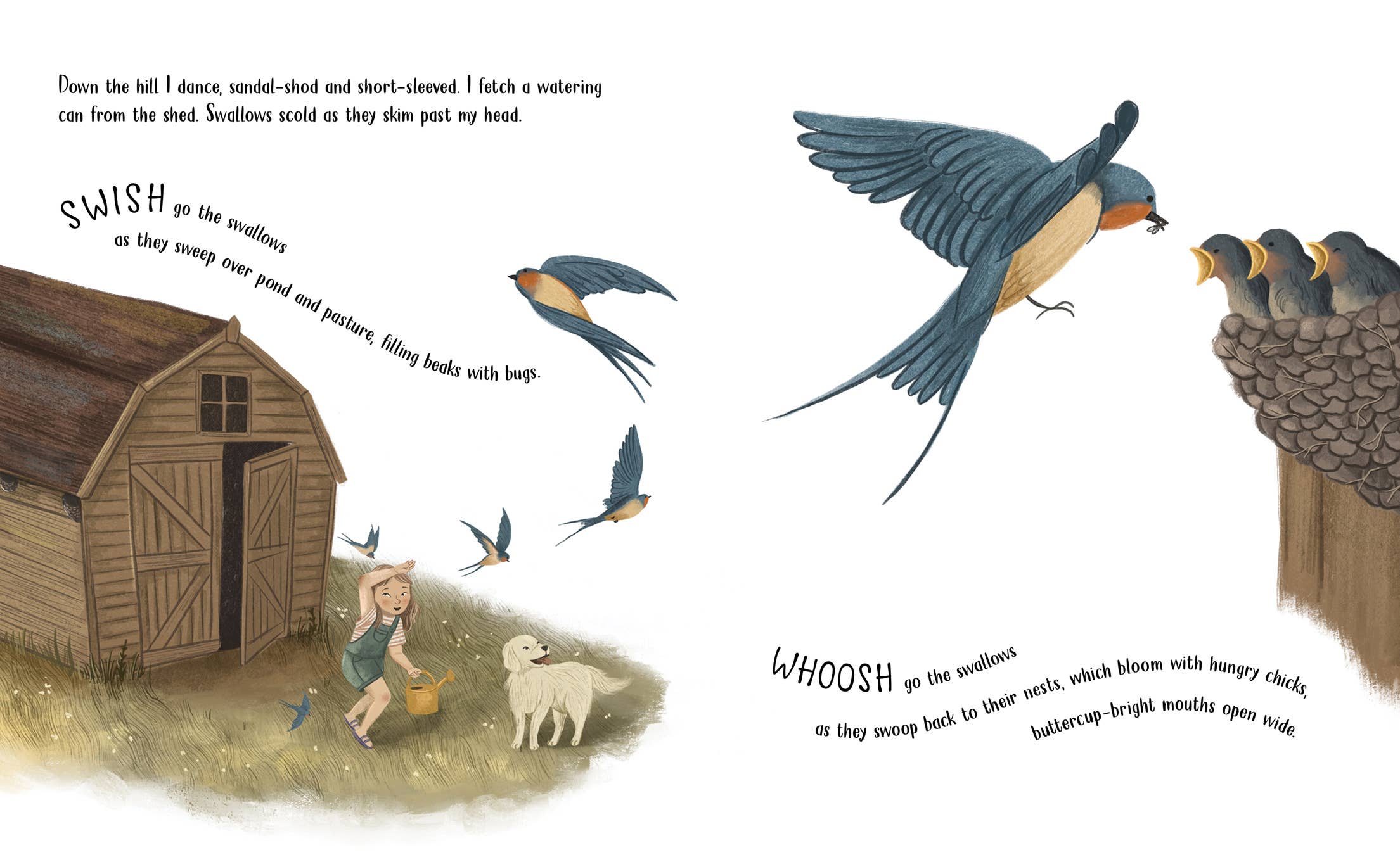 Sleeping Bear Press - Vente Livre – enfant - Livre d'images des hirondelles tourbillonnantes3