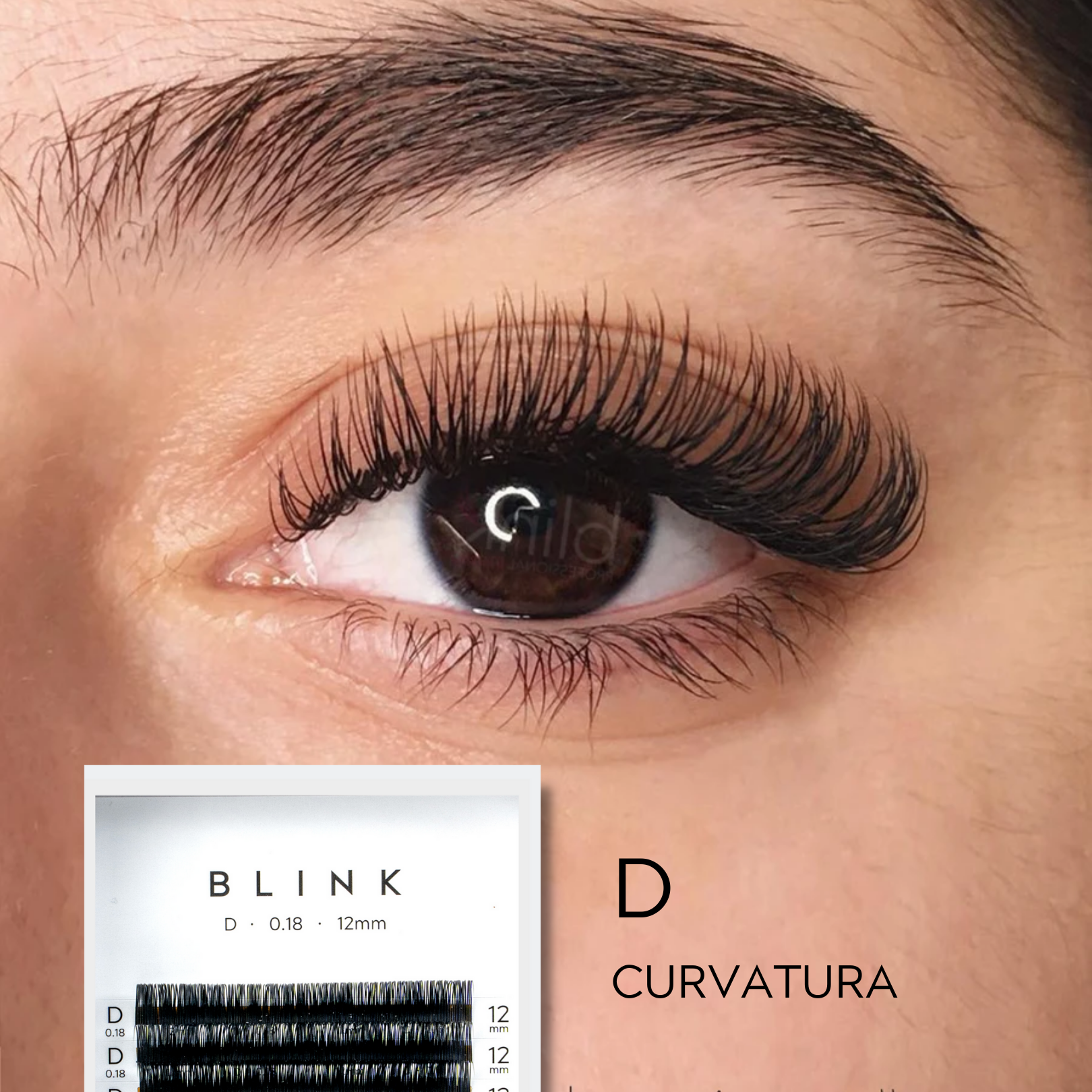 Blink Professional - Wholesale False/Fake Eyelashes - CLASSIC 1D LASHES1