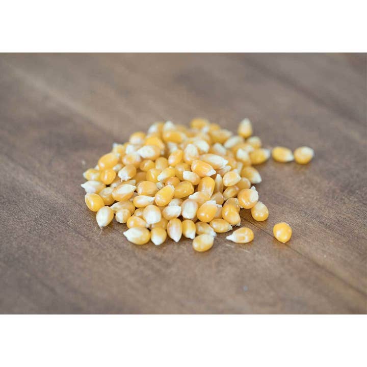 Amish Country Popcorn - Wholesale Popcorn - 2lb Bag of Medium Yellow Popcorn1
