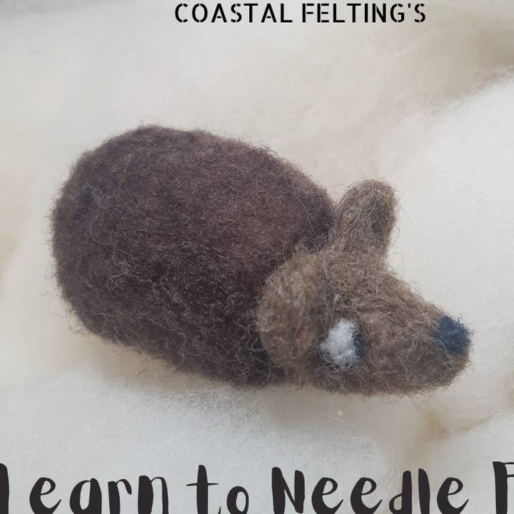 Leer om een egelkit te naaldvilt voor wholesale door Coastal Felting